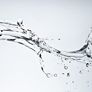 auto rinse