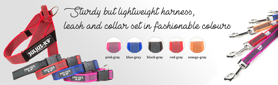 Color & Gray, K9, Julius-K9, harness, belt, dog, walk, summer, summer harness, premium, quality, 