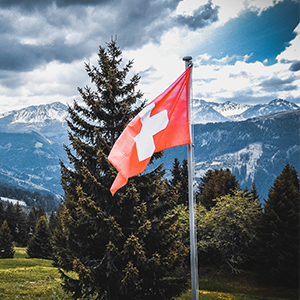 geomag,geomagnetic set,toy,magnet,geomag toys,magnetic balls,magnets,geo mags,geomag mechanics