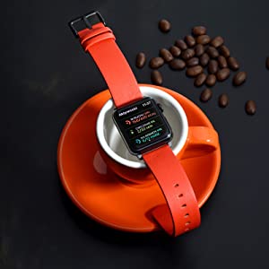 14mm 16mm 18mm 19mm 20mm 21mm 22mm 23mm 24mm watchband bracelet watches pin buckle unisex lady man