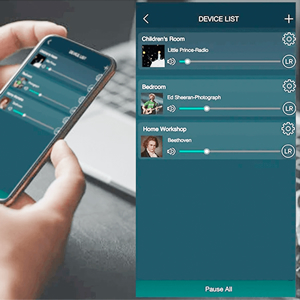 WiFi Bluetooth Audio Music Streamer Receiver Arylic S10 Airplay DLNA UPnP Multi-Room Sync Spotify 