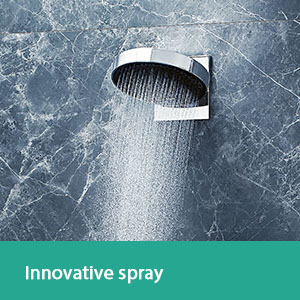 Spray face overhead shower