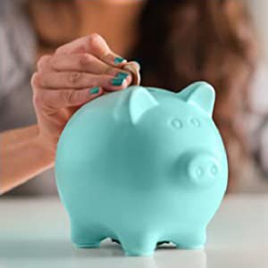 Desiccant Dehumidifier DD1 Mini