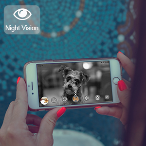night vision camera