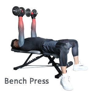 Plegable Banco de Pesas Ajustables