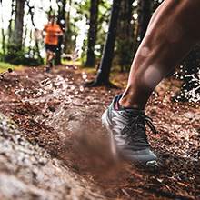 trail, trail running