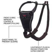 halti no pull harness