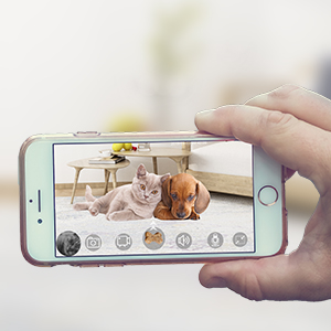 best gift for pet lover