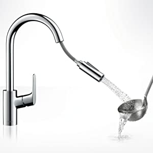 Pull out spout
