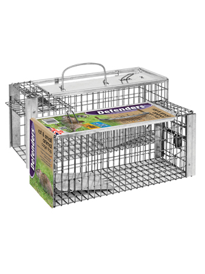 rat, squirrel, cage trap, trap animal