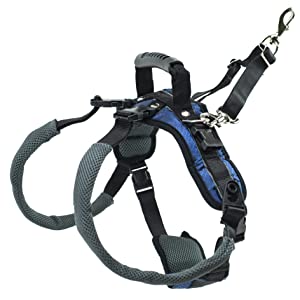 Dog harness for joint protection
