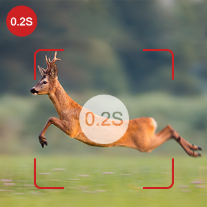wildlife camera 20mp