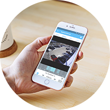 Mobile Viewing & Alerts