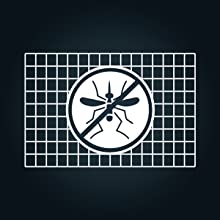 No mosquitoes.