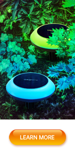 Solar lights outdoor garden