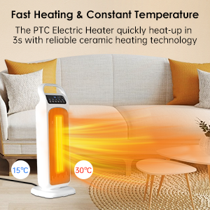 Electric heater