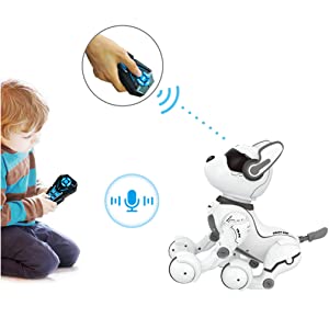 programmable, mibro, rad, walle, laser, battle, hunters, aibo, alpha, children, tobot, puppy, chip