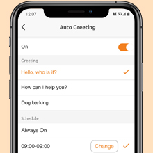 Pre-recorded Messages