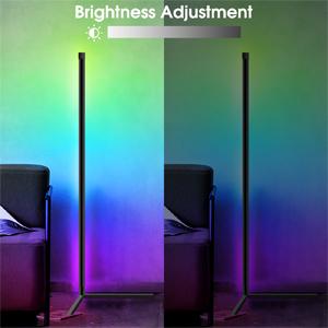 Fortand LED Floor Lamp