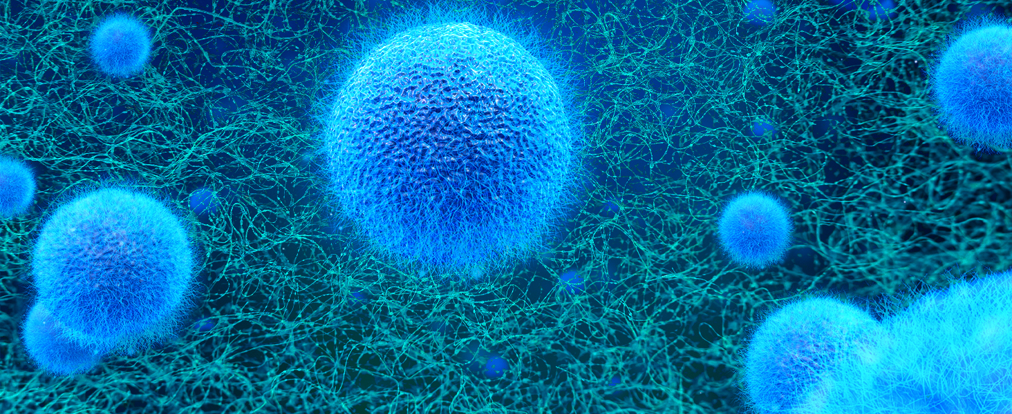 H13 True HEPA Filter