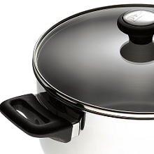 Stainless steel stockpot