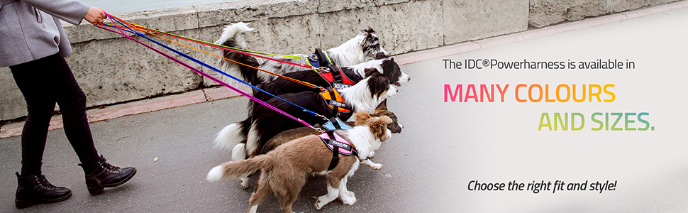 IDC Power, K9, Julius-K9, dog harness, control, comfort, IDC,