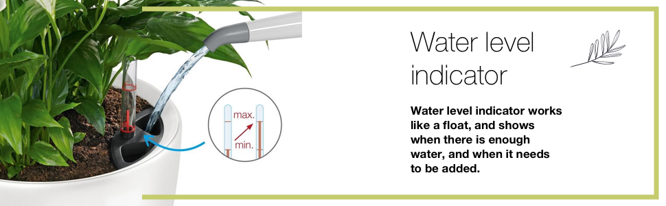 echuza Self Watering system