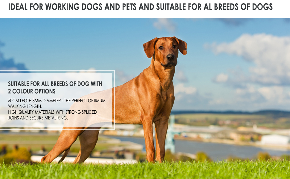Suitable For All Breeds of Dog with 2 Colour Options