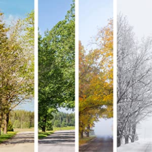 Pro Breeze Outdoor Halogen Infrared Patio Heater Electric warmer Garden Table Gazebo 