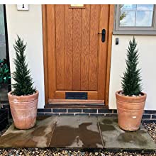LEAF Artificial Cedar Trees