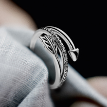 Pandora Care & Maintenance