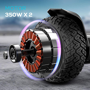 350W Hoverboards