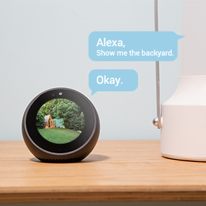 BC1C works with Alexa