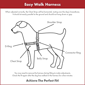 Dog Dogs Harness Harnesses Control Obedience Training Pulling Comfortable Lead Pull No Choking