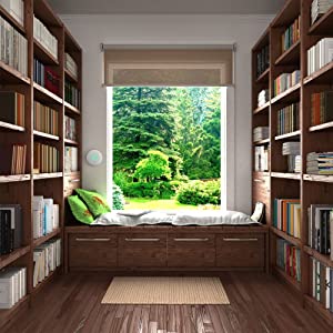 Home nook or library.
