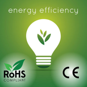 Morris 12L Dehumidifier with WiFi - Energy efficiency