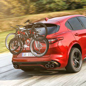 bike carrier