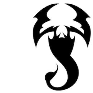 storeyourboard outdoor sports storage solutions company brand bike kayak ski snow SUP cargo canoe