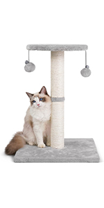 Cat Scratching Post