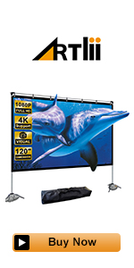 projector screen