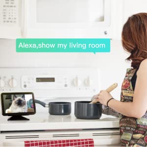 Dome1 security camera