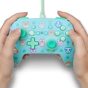 Nintendo Switch controller