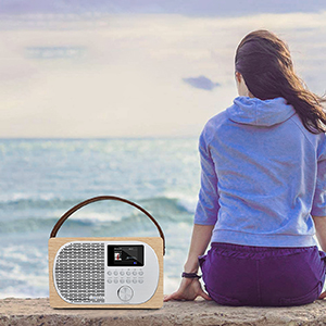 FM Digital Portable Radio Wireless Bluetooth Speaker