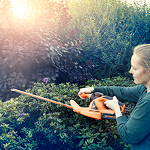 LawnMaster 24V Cordless Hedge Trimmer Cable Free