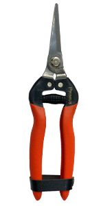 Primus Wonder Scissors