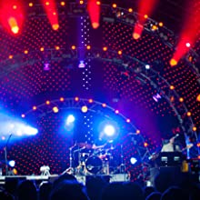 Pure Analog Signal Path