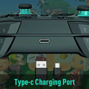 switch controller