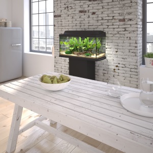 starter line, aquarium, fish tank, tetra, lifestyle aquarium