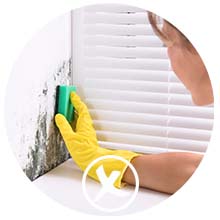 2200ml dehumidifier air dehumidifiers portable 2L dehumidifier damp moisture Allergy relief, Peltier