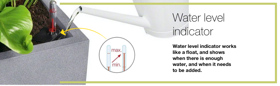 Lechuza Self Watering system